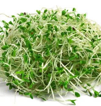 Microgreen and Sprouting Seminar