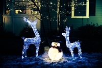 Energy-Efficient Christmas Garden Lighting