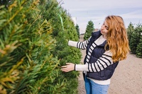 How to choose the perfect Christmas tree