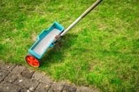 How to Fertilize Your Lawn in 4 Steps