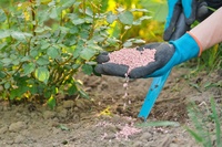 Our top 15 gardening tips for April