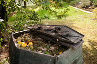 Sustainable kitchen garden ideas