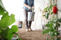 Top 6 Reasons to Start Organic Gardening
