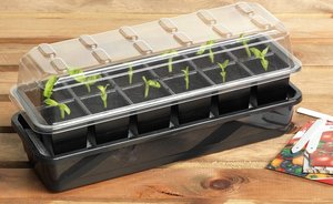 12 Cell Self Watering Seed Kit (G166) - image 1