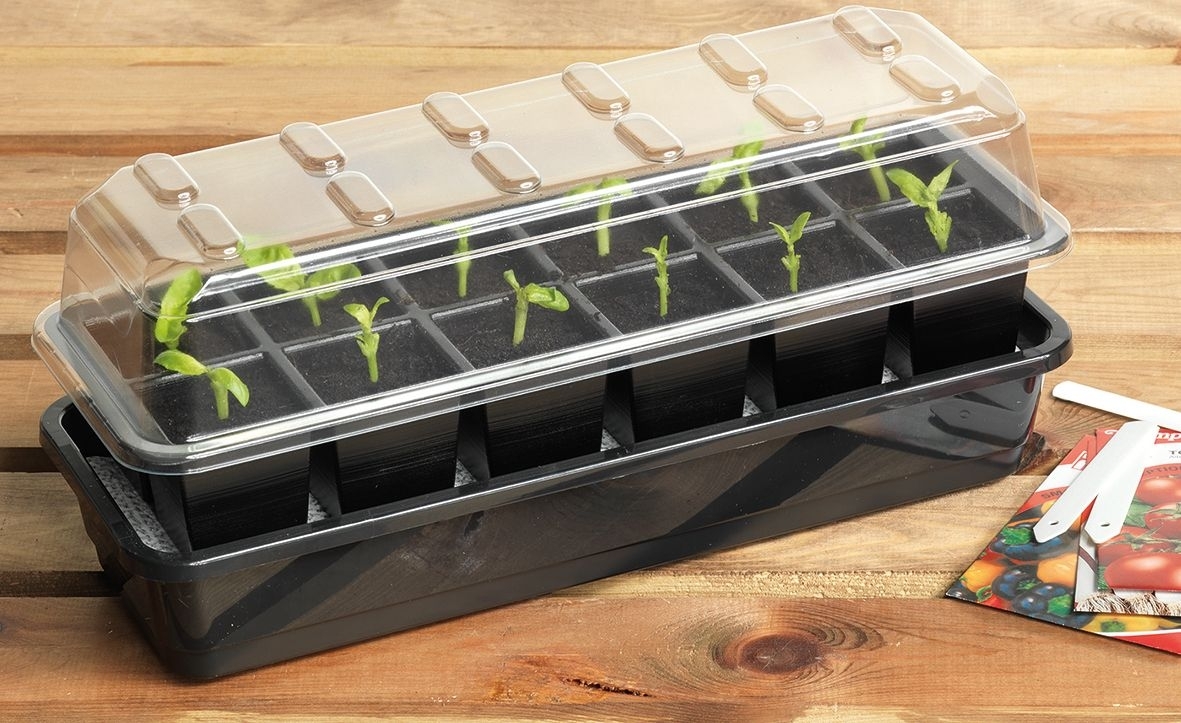 12 Cell Self Watering Seed Kit (G166) - Garden Retreat