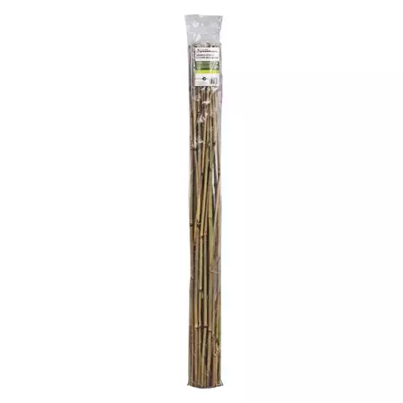 4' Bamboo Stake