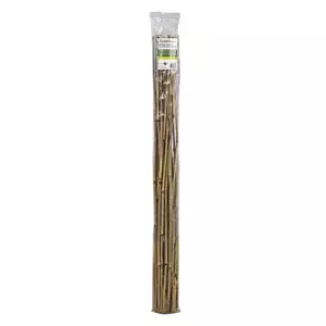 4' Bamboo Stake