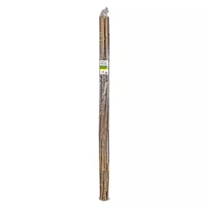 5' Bamboo Stake