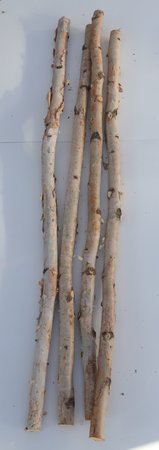 Birch Poles 5'