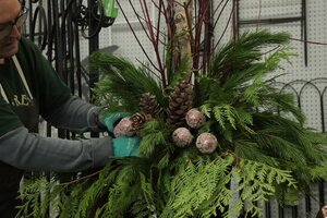CHRISTMAS OUTDOOR PLANTER WORKSHOP - NOV. 28 - image 7