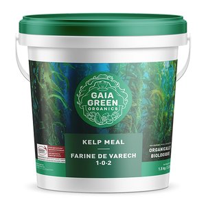 GAI GREEN Kelp Meal 1.5 Kg Pail