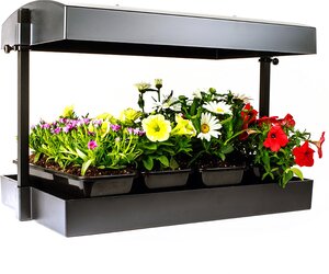 Grow Light Garden - image 1