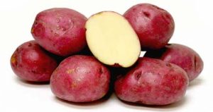 Norland Potatoes