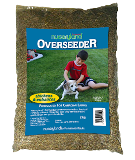 Nurseryland Overseeder 2kg