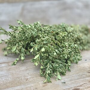 Oregonia Bunch