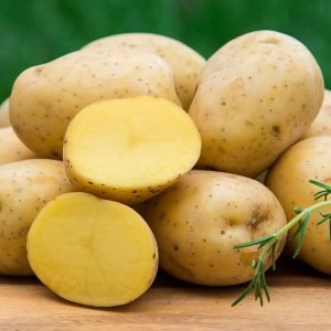 Organic Potato Yukon Gold