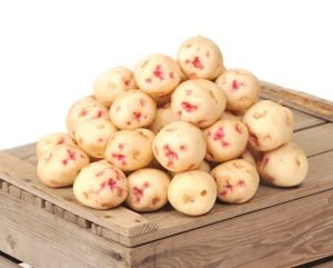 Potato Warba West