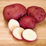 Red Viking Potato