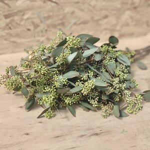 Seeded Eucalyptus (Natural) Boughs