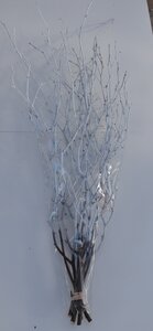 White Painted Birch Twigs