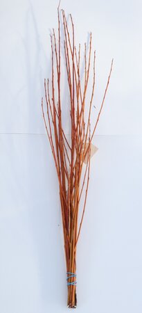 Willow Flame Bundle