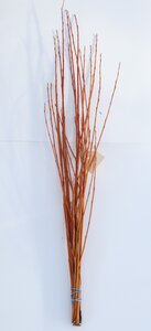 Willow Flame Bundle