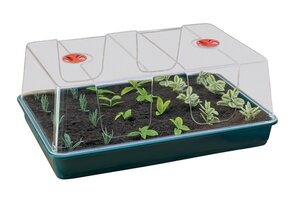 XL High Dome Propagator (G155)